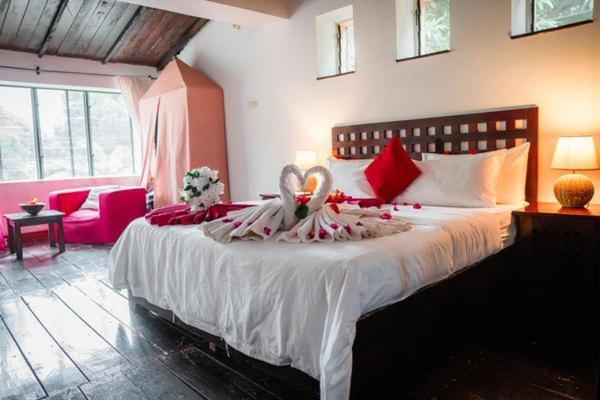 Hibiscus House Gambia Ξενοδοχείο Brufut Εξωτερικό φωτογραφία